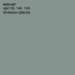 #85948F - Spanish Green Color Image